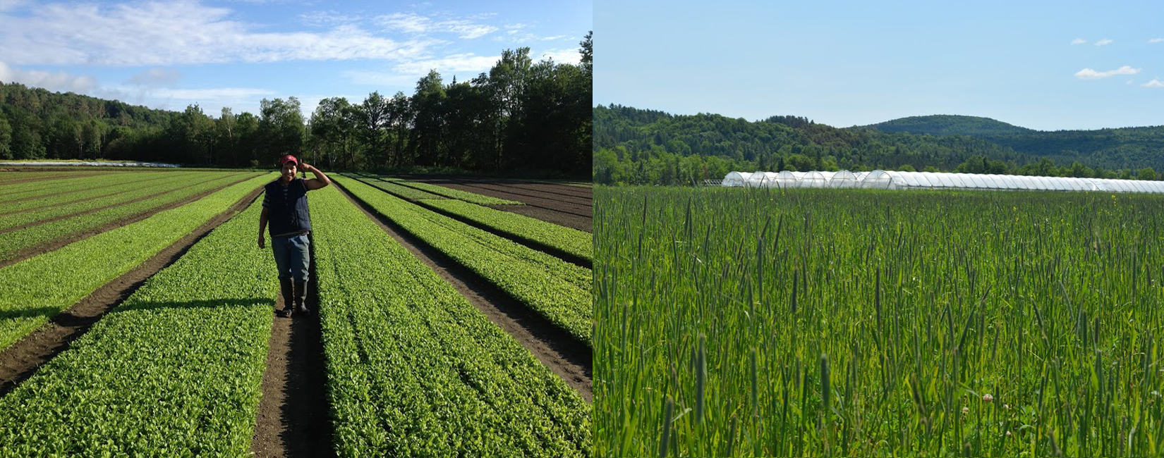 Our Farm