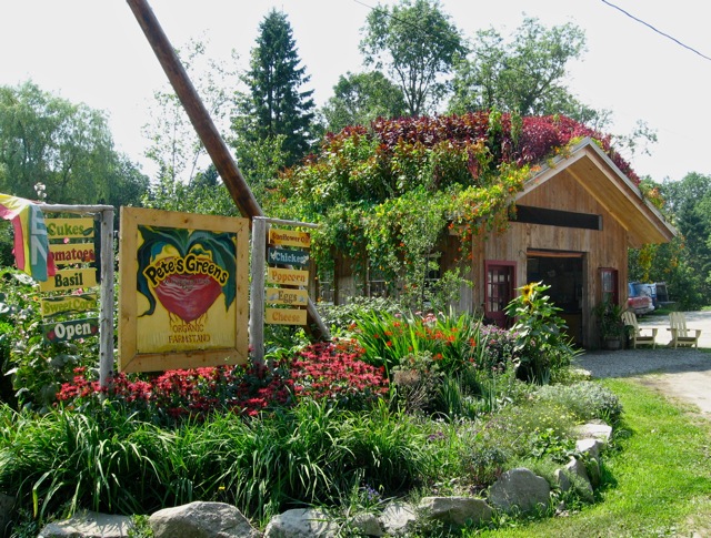 Farmstand with its shaggy living roof.