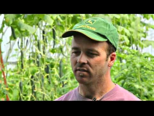Love Tomorrow Today, Pete’s Greens At the Heart of the Locavore Movement, 2011