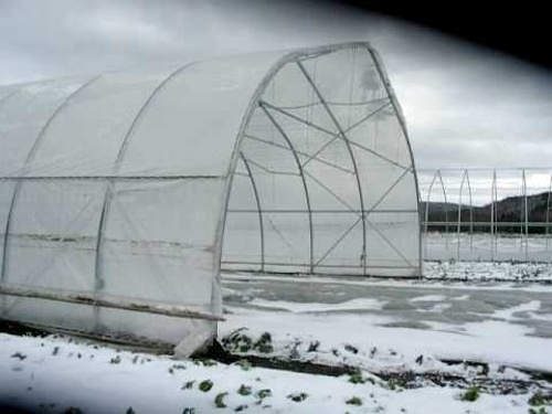 Farm video, Moving the Greenhouse, 2008